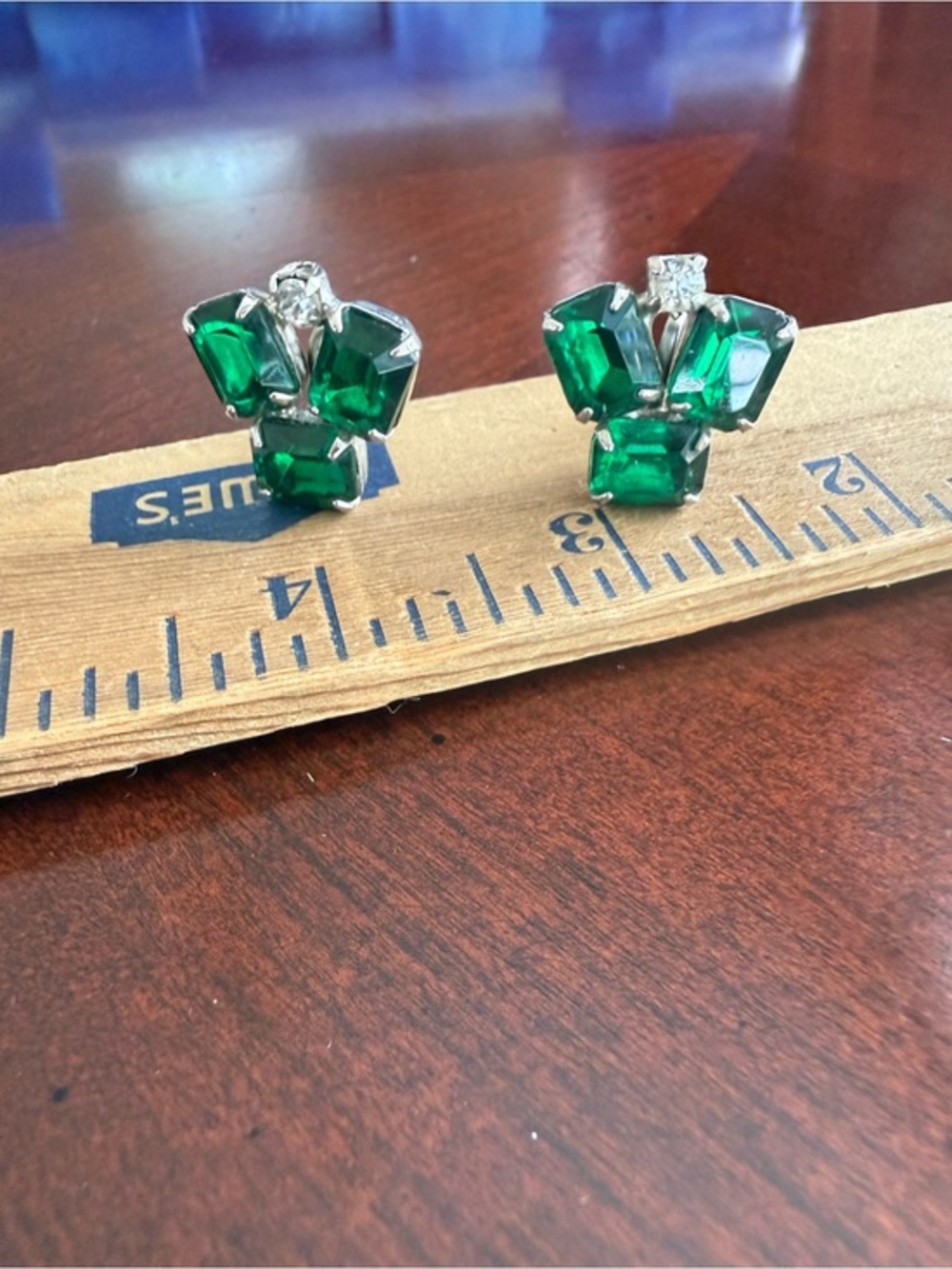 Vintage Screwback Earrings